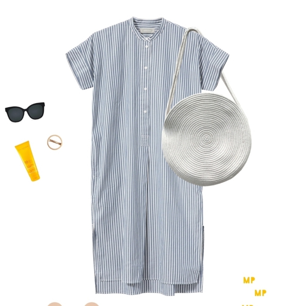 Everlane Blue Striped Button Down Dress